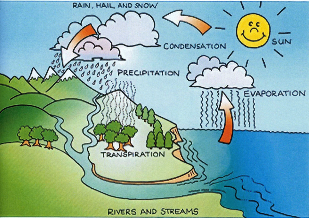 water cycle essay 5th grade